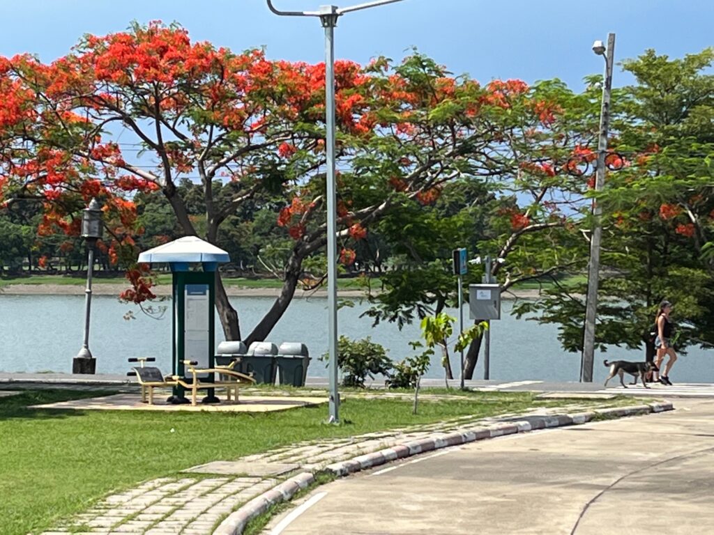 park6
