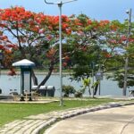 park6